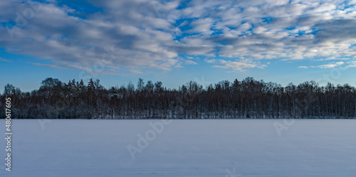 landscape view of blue cloudy sky forest and snowy field. © Gints 