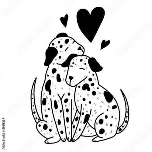 Flat illustration of two dogs. Dalmatians black and white hand drawn illustration. Doodle valentine's day