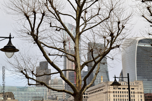 Wallpaper Mural town in winter Torontodigital.ca