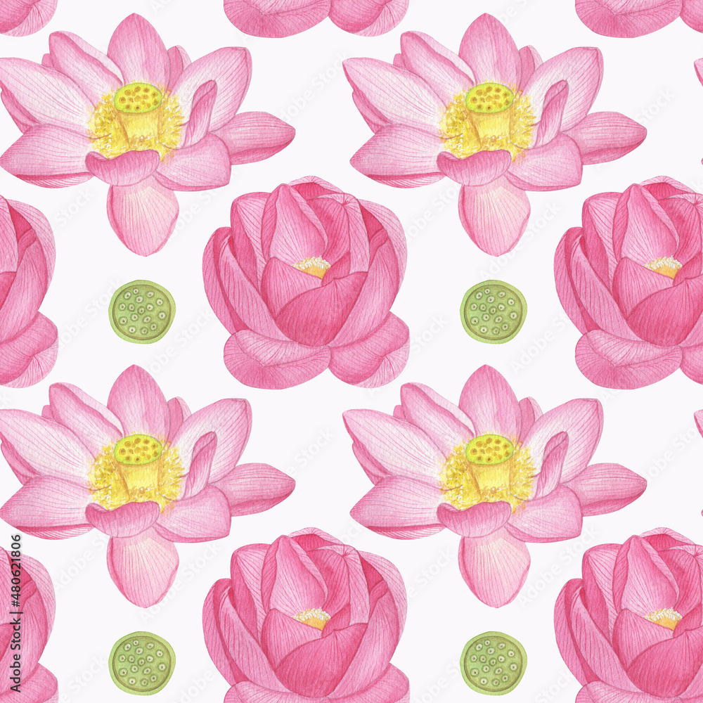 Watercolor pattern of blooming lotuses and lotus seed pods