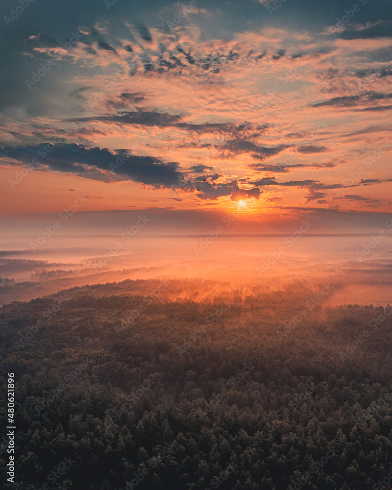 Dawn over pine forest: tourist reserve in Ukraine on summer morning. Natural Ecological Reserve. Beautiful sunrise over pine forest: sun rays illuminate tree tops through the fog: aerial drone shot. Dawn over pine forest: tourist reserve in Ukraine on summer morning. Natural Ecological Reserve. Beautiful sunrise over pine forest: sun rays illuminate tree tops through the fog: aerial drone shot.