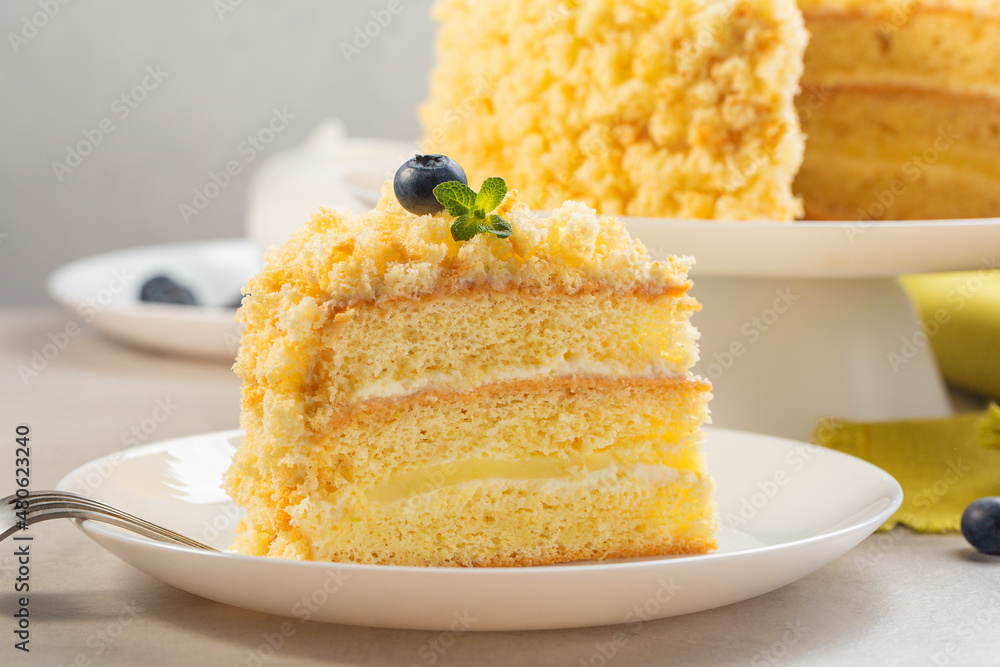 Italian Mimosa Cakeselective Focus Stock Photo 1041498496 | Shutterstock