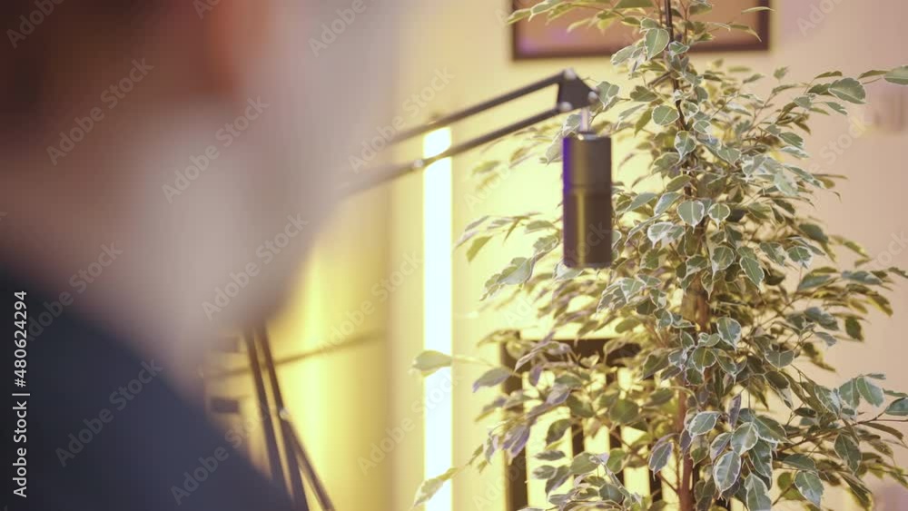 Green ficus houseplant guest on live podcast talking into the microphone 4K Green ficus houseplant guest on live podcast talking into the microphone 4K