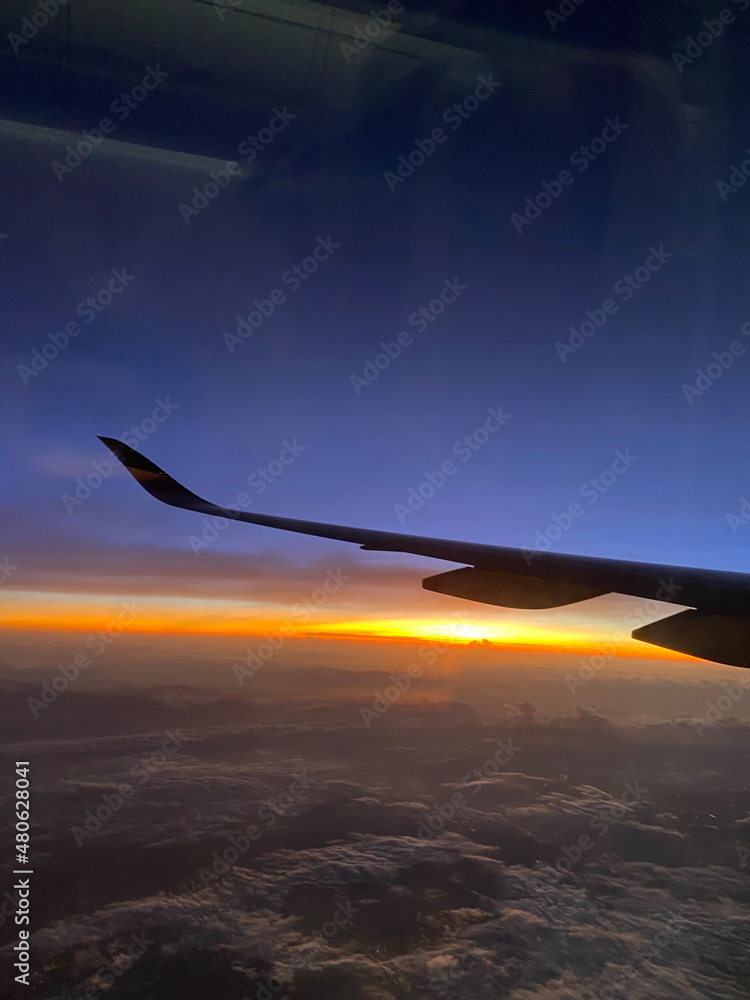 Fototapeta premium airplane in the sky