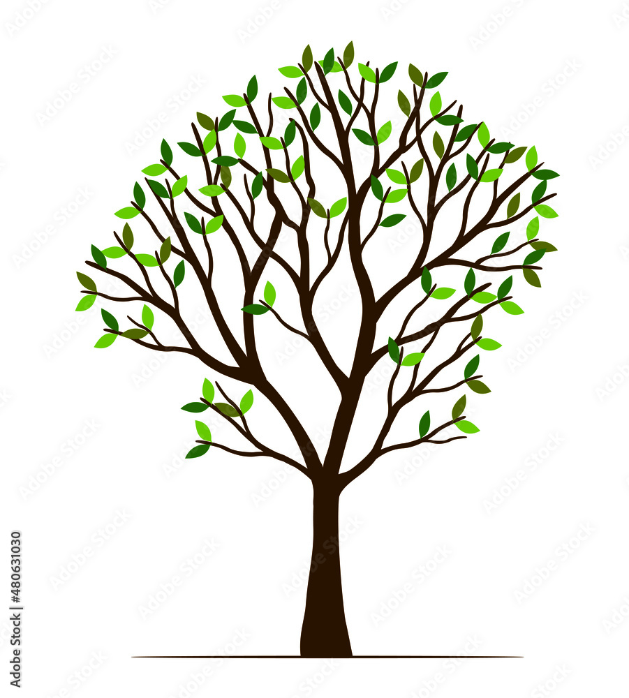 Fototapeta premium Green Spring Tree. Vector outline Illustration. Plant in Garden.