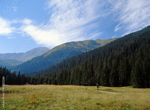Tatry mountains, Tatrzanski National Park, Wyznia Jarzabcza Polana, Poland
