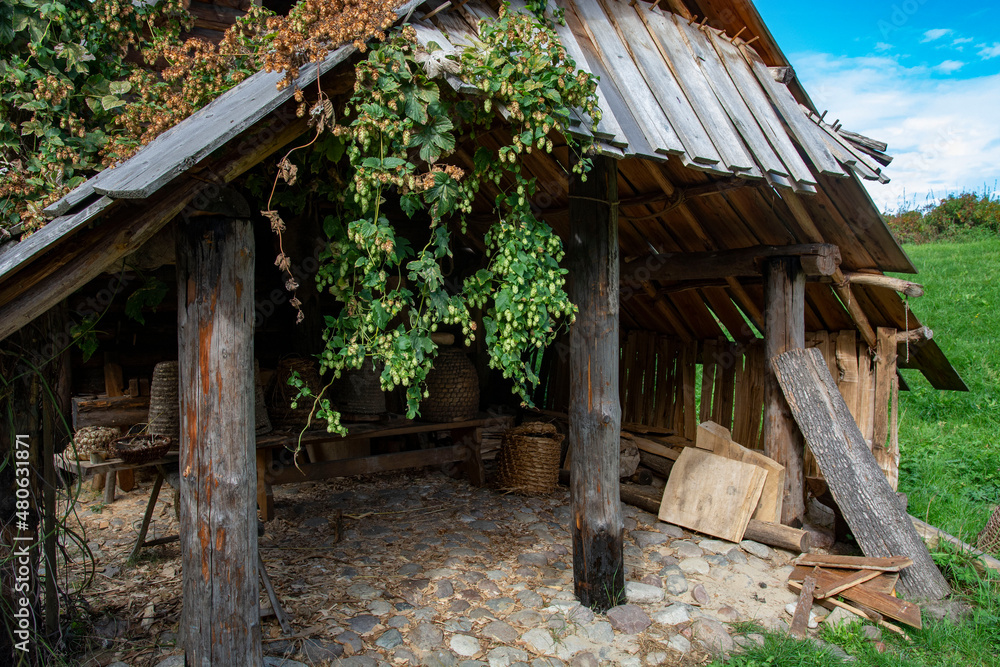 skansen