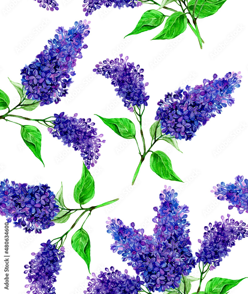 Seamless pattern. Watercolor lilac flowers illustration isolated on a ...
