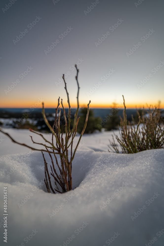 Sonnenaufgang Schwarzwald Büschel Sonnenaufgang Schwarzwald Büschel