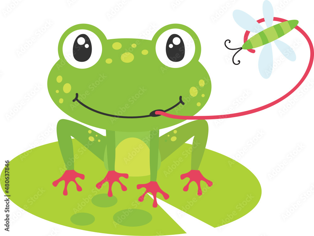 Obraz premium Frog catching flying insect