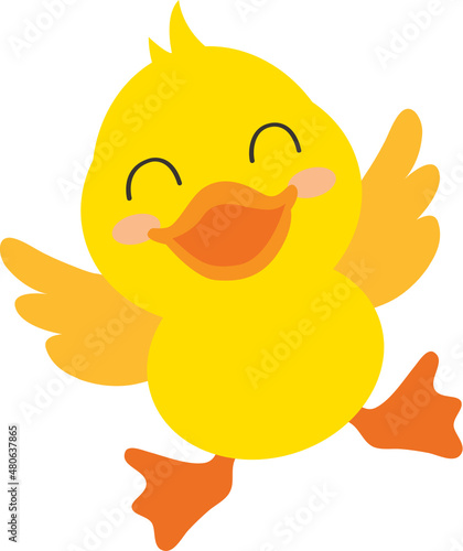 Yellow Duck