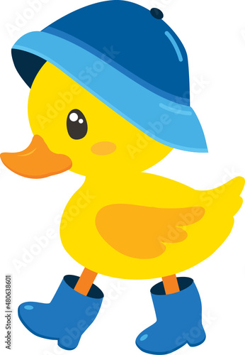 Duck with Blue Raincoat