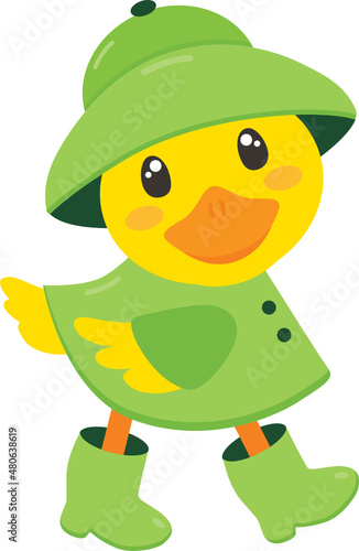 Duck with Green Rain Coat