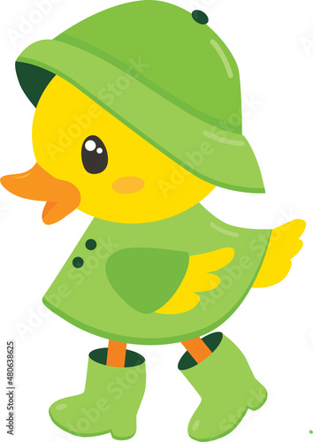 Duck with Green Rain Coat