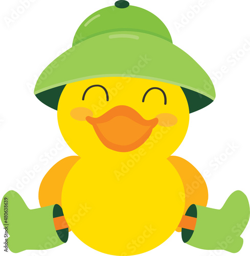 Duck with Green Rain Coat