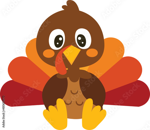 Thanksgiving Turkey