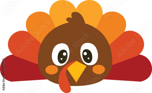 Thanksgiving Turkey