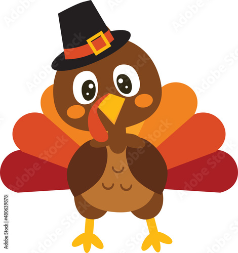 Thanksgiving Turkey