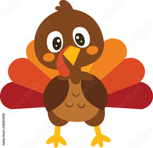Thanksgiving Turkey