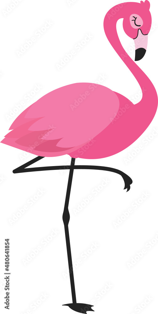 Obraz premium Tropical Bird Flamingo