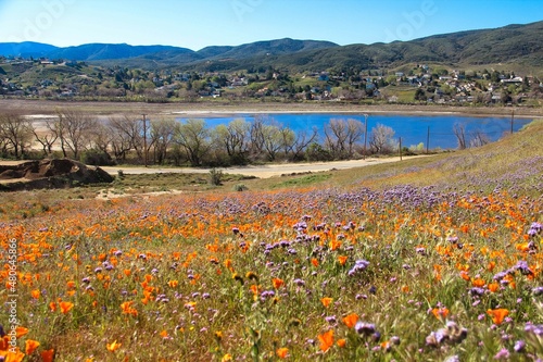 Photos Lake Hughes, California