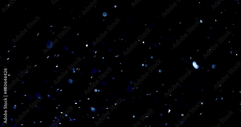 Natural Organic Dust Particles Floating On Black Background. Dynamic Dust Particles Randomly Float In Space. Shimmering Glittering Dust Particles With Bokeh. Slow motion on Black Background. Natural Organic Dust Particles Floating On Black Background. Dynamic Dust Particles Randomly Float In Space. Shimmering Glittering Dust Particles With Bokeh. Slow motion on Black Background.