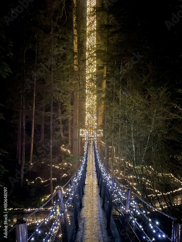 Bridge Light at Capilano Suspension Bridge Park photo