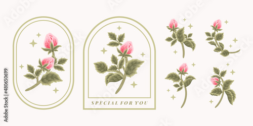 Collection of vintage romantic pink rose flower bud and green leaf branch for greeting cards  wedding invitation  decoration  craft  journal  feminine logo  beauty label  branding elements