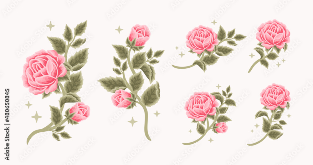 Collection of vintage romantic pink rose and peony flower for greeting cards, wedding invitation, decoration, craft, journal, feminine logo, beauty label, branding elements