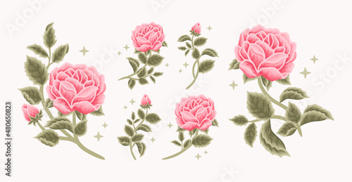 Collection of vintage romantic pink rose and peony flower for greeting cards, wedding invitation, decoration, craft, journal, feminine logo, beauty label, branding elements