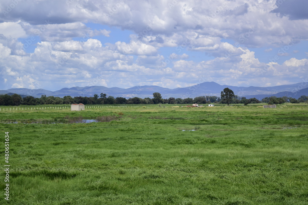 horizon with clouds, a blue sky and green vegetation, with some water ponds
