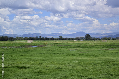 horizon with clouds, a blue sky and green vegetation, with some water ponds

