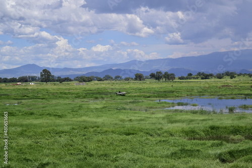horizon with clouds, a blue sky and green vegetation, with some water ponds 