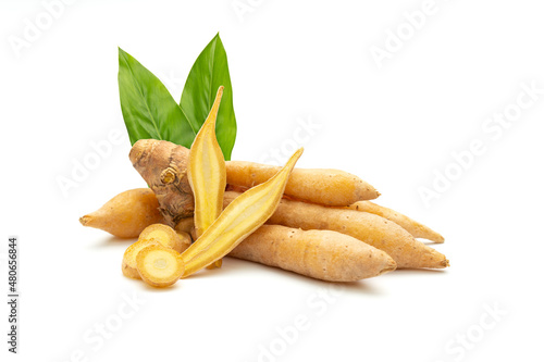 Bild auf Leinwand Kaempferia and finger root with leaves isolated on a white background