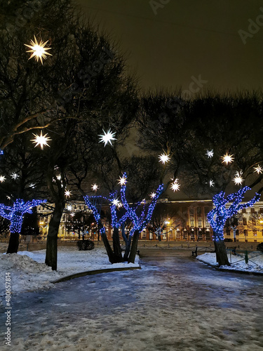 Trees in St. Isaac's Square, decorated with stars and blue garlands for Christmas and New Year.