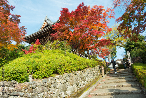 Kyoto  Japan - Autumn leaf color at Yoshiminedera Temple in Kyoto  Japan. The Temple originally built in 1029.