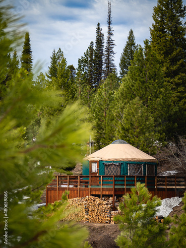 Backcountry Yurt Cabin in the Woods