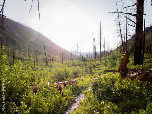 Mountain Canyon Path Through Backcountry