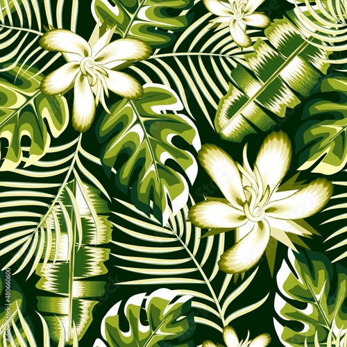 seamless tropical pattern with green abstract hibiscus flower plant leaves and foliage in monochromatic color style on night background. Beautiful exotic plant. nature wallpaper. autumn background.  photo