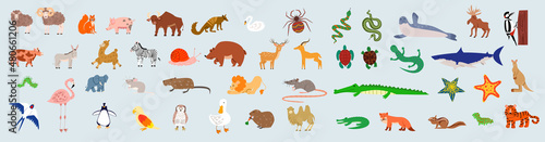 A large set of wild jungle, savanna and forest animals, birds, marine mammals, fish and insects. A set of cute cartoon characters in a flat style, isolated on a white background. vector illustration