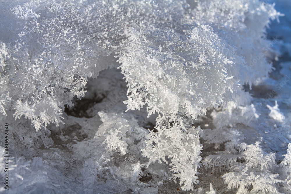 Fototapeta premium frost crystals are illuminated by the sun