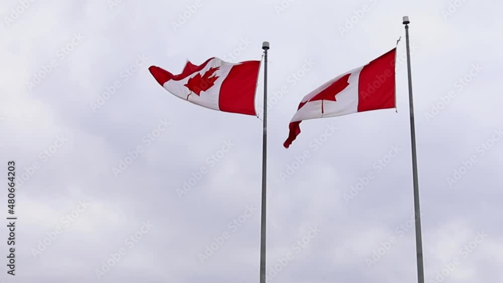 Canadian flags waving in the wind against cloudy sky Canadian flags waving in the wind against cloudy sky