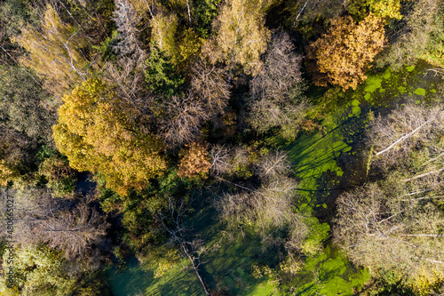 Fototapeta Naklejka Na Ścianę i Meble -  Aerial view of a section of flooded forest, beautiful wild landscape, impenetrable terrain