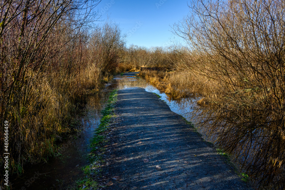 Flooded walking trail in rural park on a sunny winter day, wood bridge in the background
