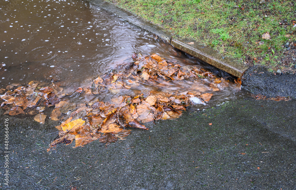 Rainwater flooding down a residential street carrying dirt, leaves and other debris, and flowing into a cement storm drain
