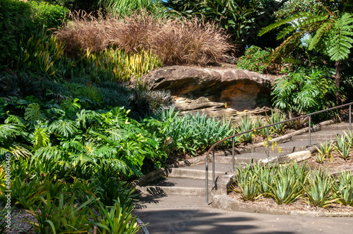 Sydney Australia, view of a footpath with flowerbeds in public park