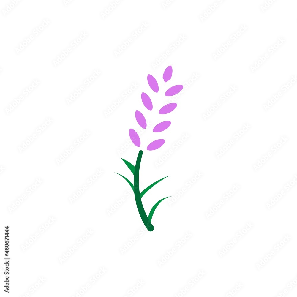 lavender icon vector design templates lavender icon vector design templates