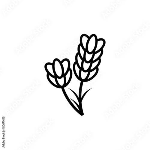 lavender icon vector design templates