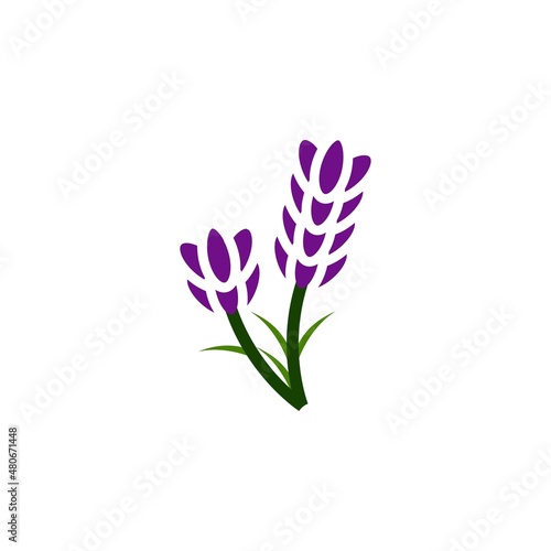lavender icon vector design templates