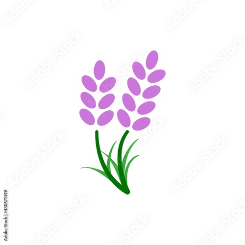 lavender icon vector design templates